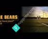 Waitakere Bears Softball Club
