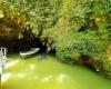 Waitomo Glowworm Caves