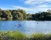 Western Springs Lakeside Park