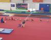 Whangarei Academy Of Gymnastics