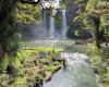 Whangarei Falls