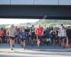 Whangarei parkrun