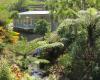 Whangarei Quarry Gardens