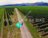 Wine Tours By Bike, Renwick Marlborough