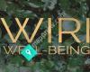 Wiri Well-Being