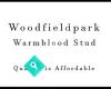 Woodfieldpark Warmblood Stud