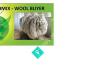 WOOL BUYER - Northmix