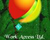Work Access Ltd.