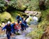 Abel Tasman Canyons