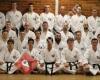 Action Taekwondo Canberra: Amaroo