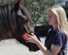 Active Animal Physiotherapy
