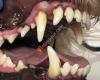 Advanced Animal Dentistry