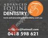 Advanced Equine Dentistry