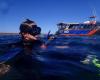 Adventure Bay Charters