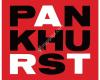 Alvin Pankhurst Gallery