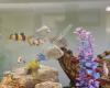 Amana Living - St George's Care Centre, Bayswater