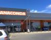 Anaconda Mile End