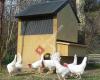 Appletons - Animal Housing & Poultry Supplies