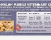 Balgowlah Veterinary Clinic