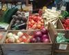 Barossa Farmers Market