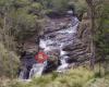 Barrington Tops National Park