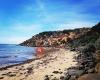 Barwon Heads & District Pony Club