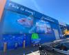 BCF Marion | Boating, Camping & Fishing Store