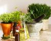 Bees Knees Naturopathy Canberra - Nutritionist, Weight Loss, Herbal Medicine