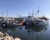 Bermagui Fishermen's Wharf