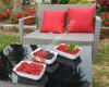 Berryfresh