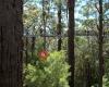 Billa Billa Farm Cottages