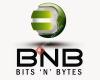 BITS 'N' BYTES CONSULTING
