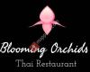 Blooming Orchids Thai Restaurant