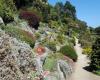 Botanic Gardens (Dunedin)