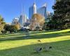 Botanic Gardens of Sydney