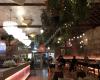 Botanica