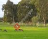 Bowmen of Melville
