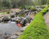 Bundaberg Botanic Gardens