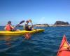 Bush and Boat Sea Kayak Tours