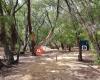 Busselton Archery & Family Fun Park