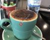 Cafe McKels