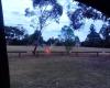 Canna Road Reserve