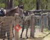 Capricorn Equestrian Centre