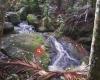 Cascades Waterfall - Waiheke
