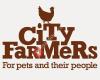 City Farmers Canning Vale