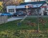 Clyde Village Store
