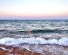 Collaroy Beach