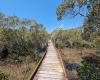 Coombabah Reserve & Mangrove Walk