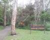 Cornubia Forest Park