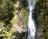 Coromandel Forest Park